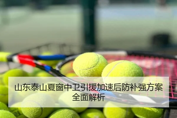 山东泰山夏窗中卫引援加速后防补强方案全面解析