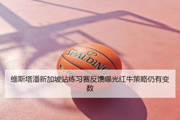 维斯塔潘新加坡站练习赛反馈曝光红牛策略仍有变数